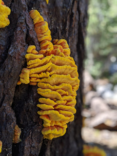 trip image 15