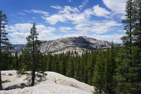 trip image 36