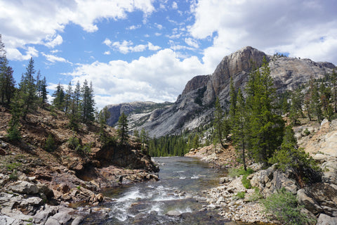 trip image 24