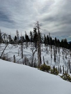 trip image 29