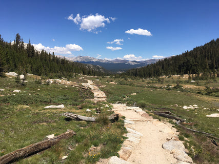 trip image 2