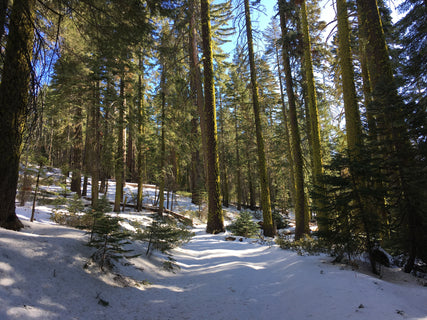 trip image 23