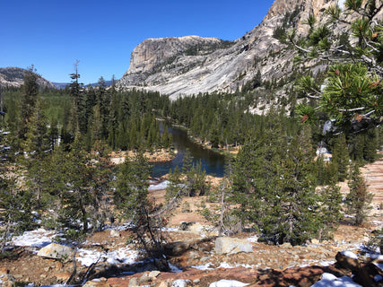 trip image 35