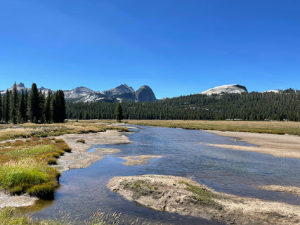 trip image 18