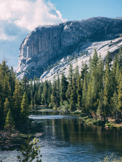 trip image 5