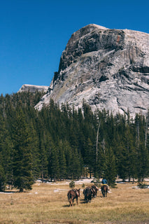 trip image 15