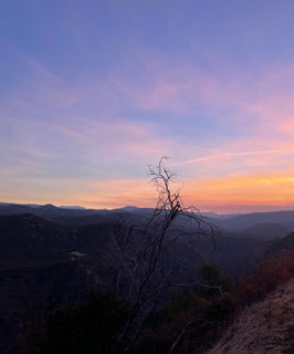 trip image 23