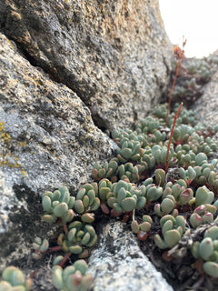 trip image 17