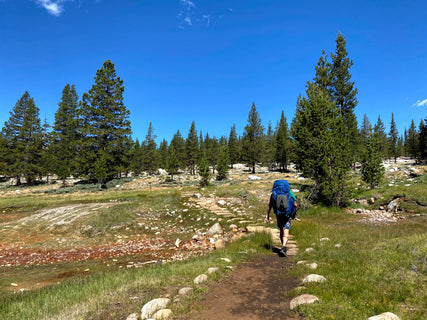 trip image 41