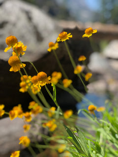 trip image 37