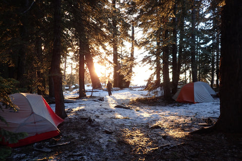 trip image 11
