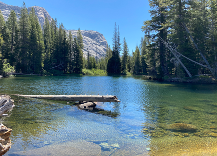 trip image 9