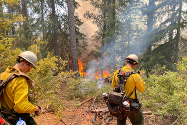 A Day on the Fireline