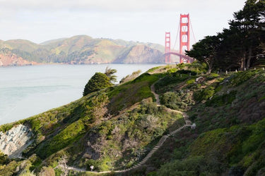 3 Itineraries to Re-Discover the Presidio