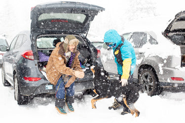 NorCal Snow Trip Guide: Bay Area to Tahoe