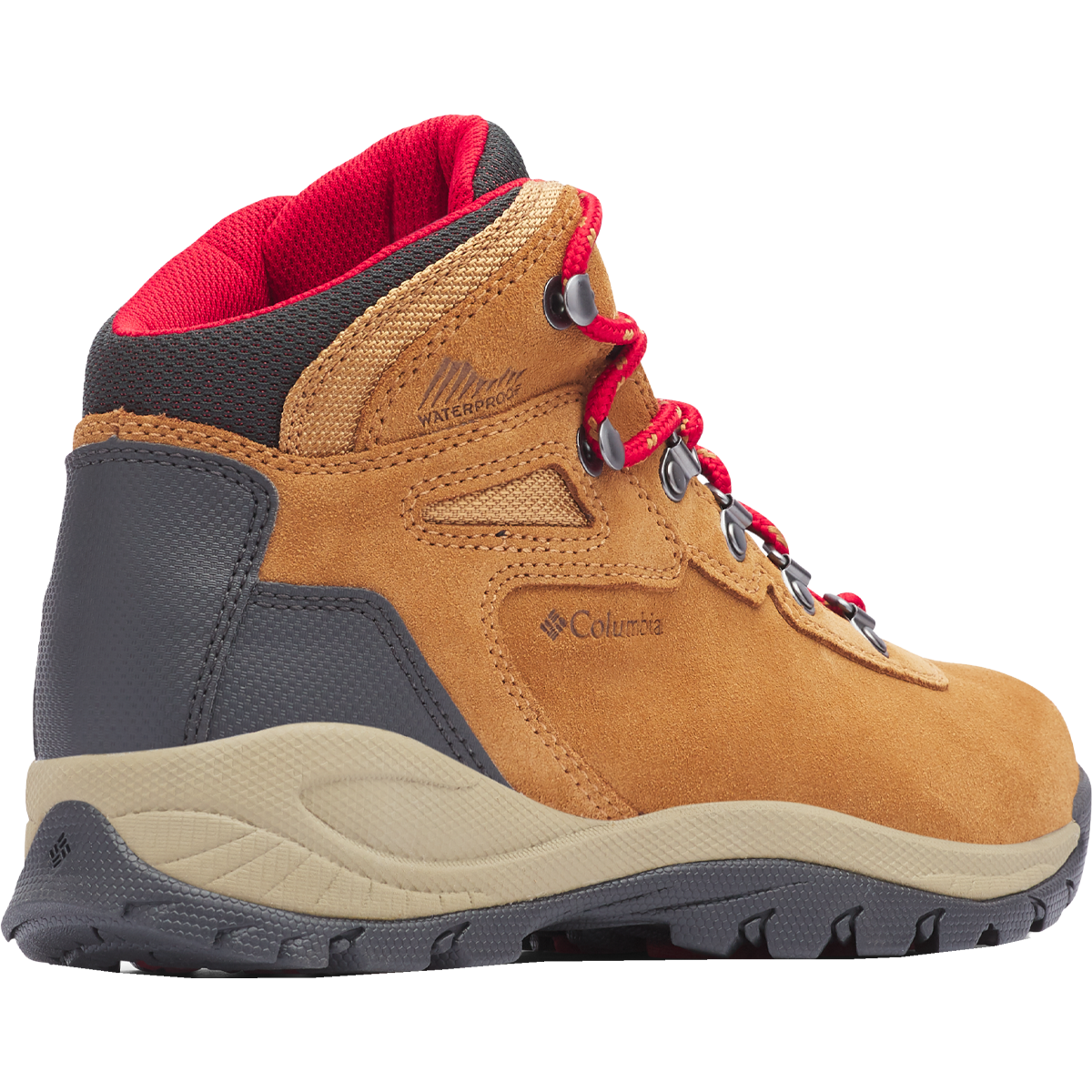 Women's Newton Ridge Plus Waterproof Amped alternate view