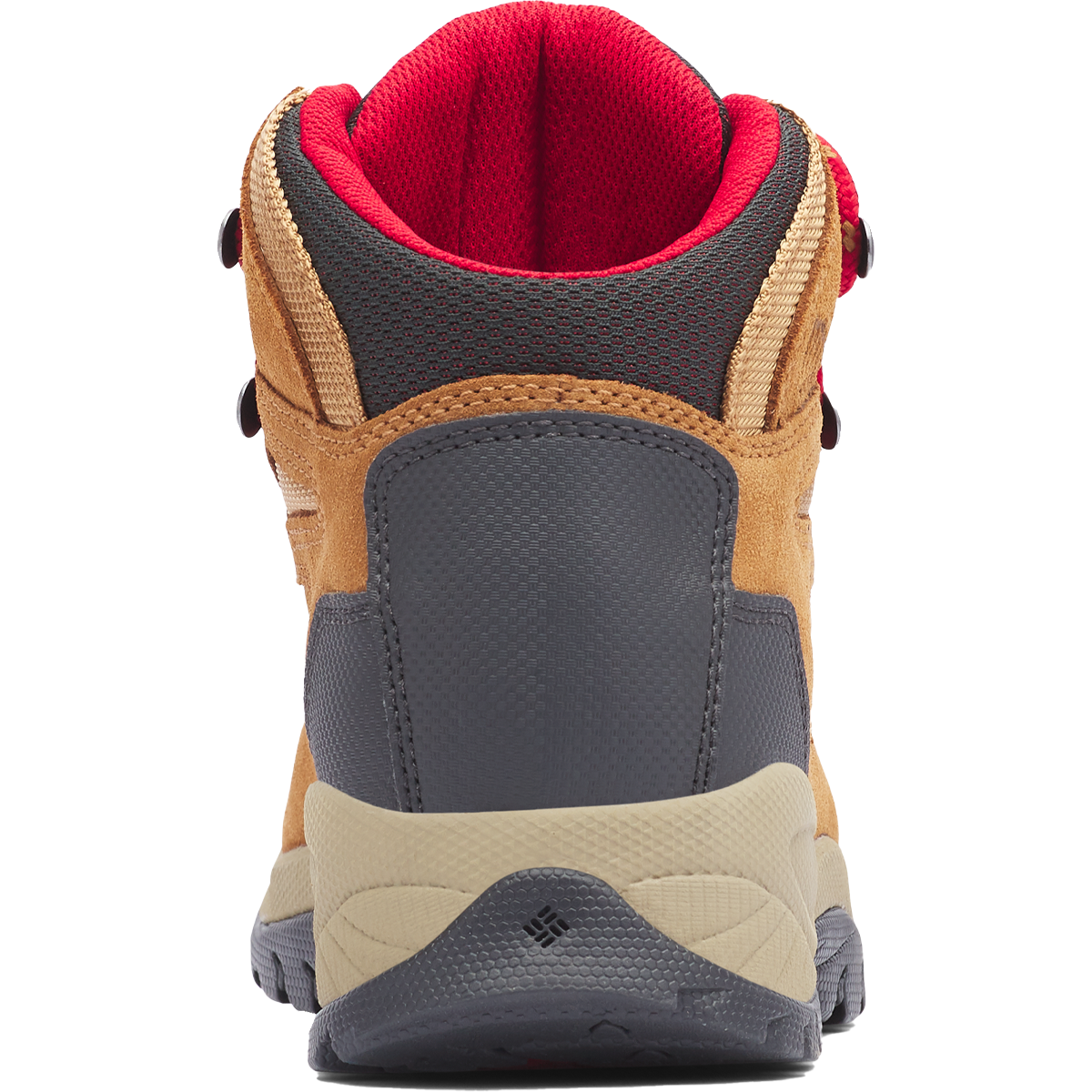 Women's Newton Ridge Plus Waterproof Amped alternate view