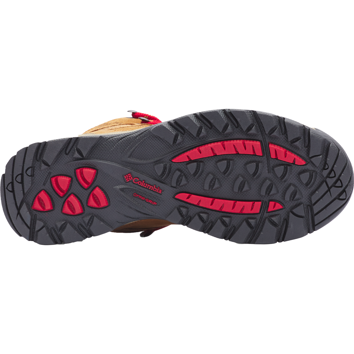 Women's Newton Ridge Plus Waterproof Amped alternate view