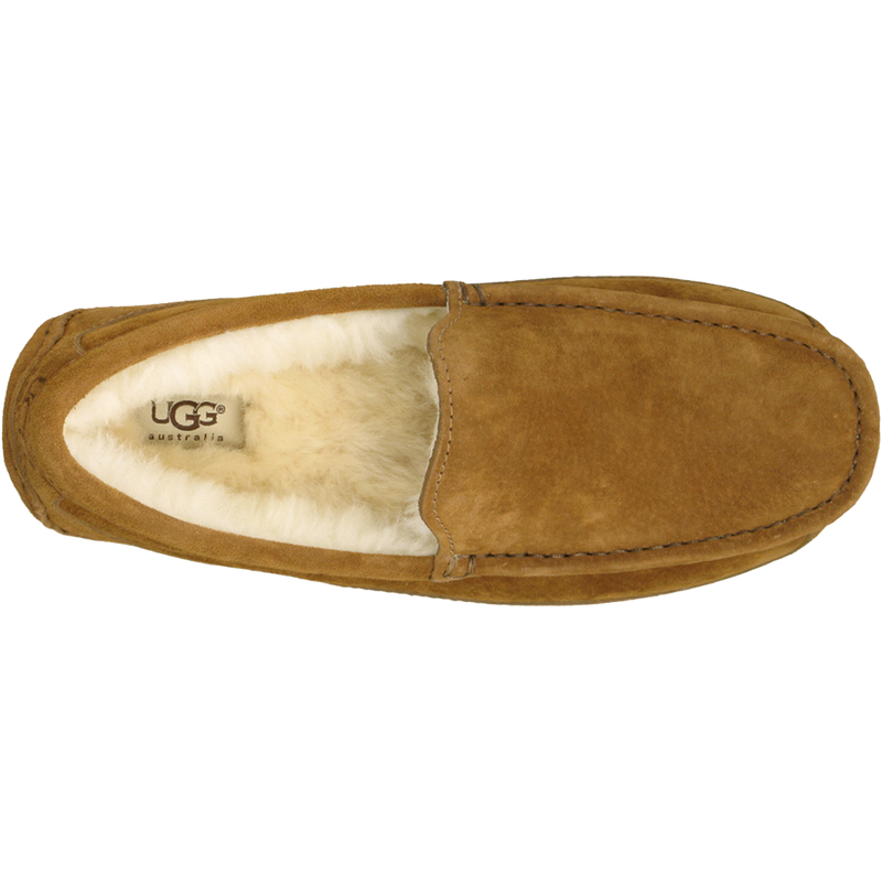 Men's Ascot, Ugg Men's Ascot top