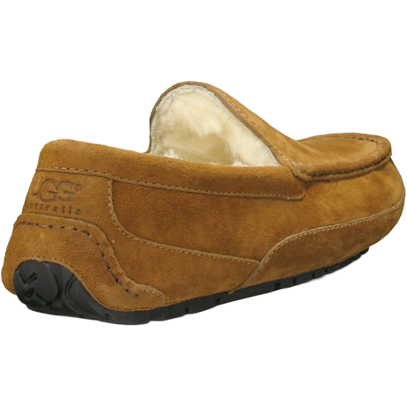 Men's Ascot, Ugg Men's Ascot 3/4 heel