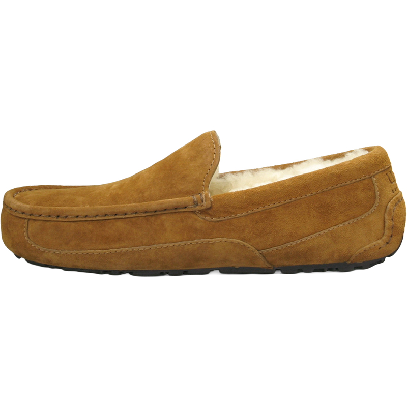 Men's Ascot, Ugg Men's Ascot side