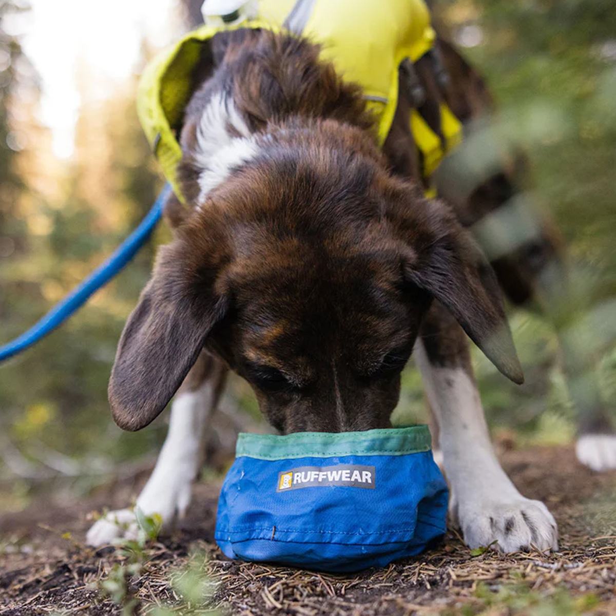 Trail Runner Ultralight Dog Bowl alternate view