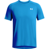 405-Blue Atlantis/White