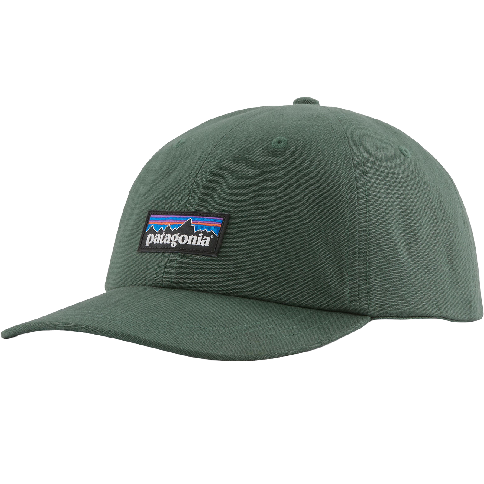 Patagonia Men's P-6 Label Trad Cap in CNGR-Canopy Green