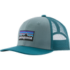 PLGS-P-6 Logo: Blue Sage