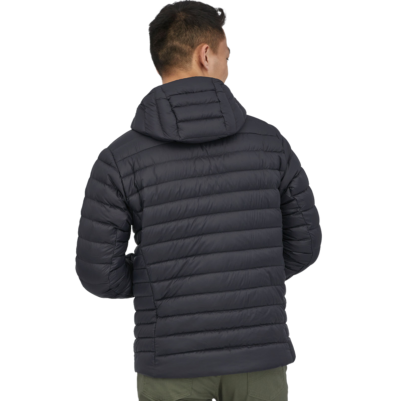 Men's Down Sweater Hoody, Patagonia Men's Down Sweater Hoody back