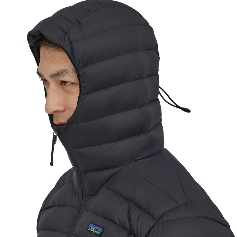 Men's Down Sweater Hoody, Patagonia Men's Down Sweater Hoody hood