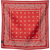 Paisley Red