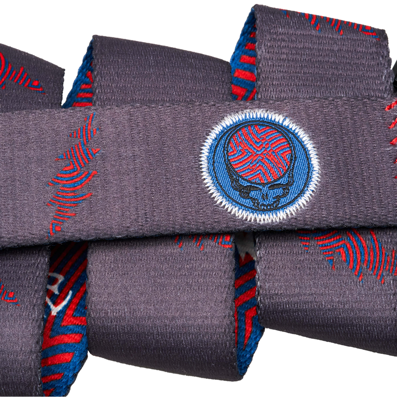 Grateful Dead We Are Everywhere, Arcade Grateful Dead We Are Everywhere logo