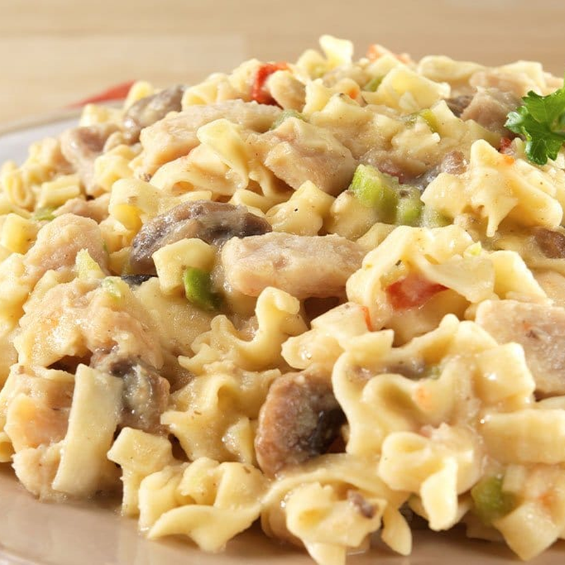 Homestyle Chicken Noodle Casserole Pro Pak (1 Serving), Mountain House Homestyle Chicken Noodle Casserole Pro Pak at camp