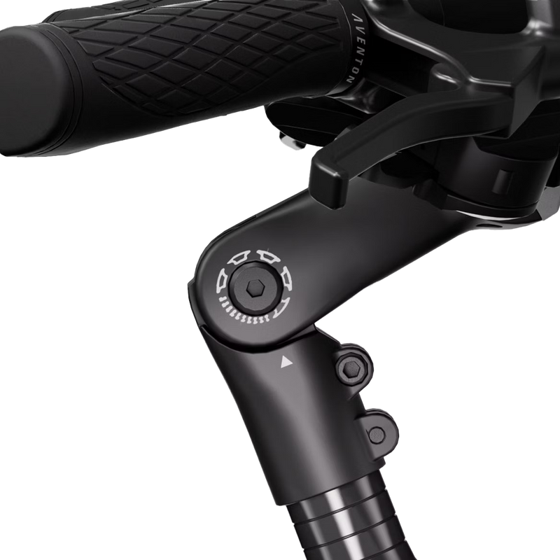 Pace 500.3 Step-Through E-Bike