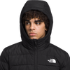 The North Face Men's Aconcagua 3 hood