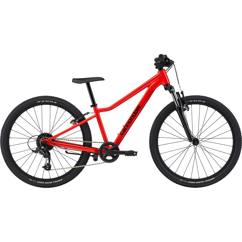 Youth Trail 24", Featured Image