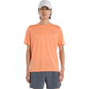 AAE-Tangerine Heat
