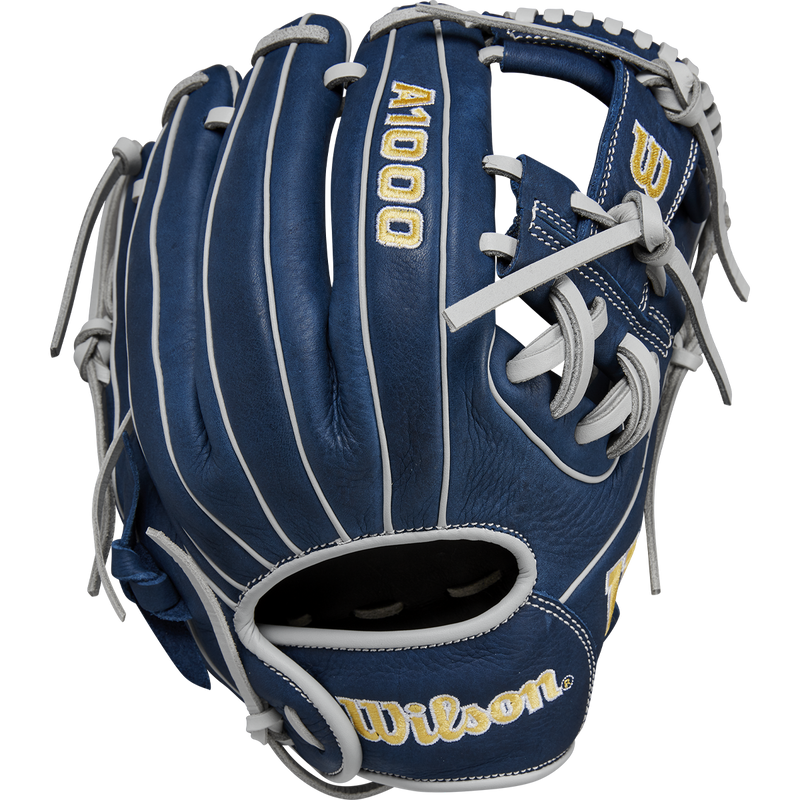 A1000 DP15 Infield - 11.5" H-Web, Featured Image