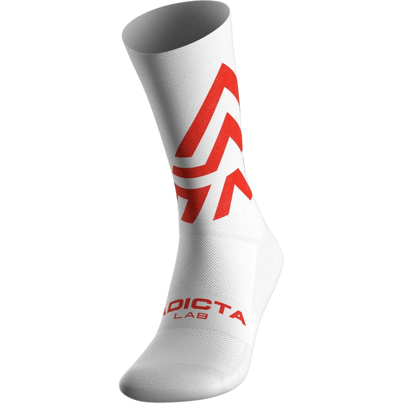 Ichnite Socks, Featured Image