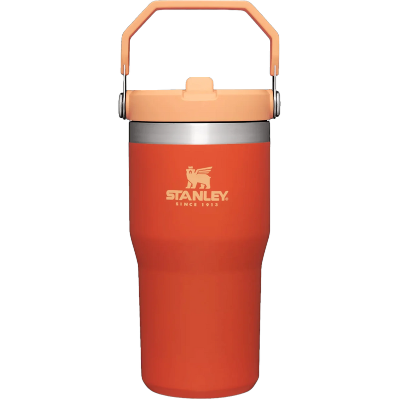 Iceflow Flip Straw 20 oz Tumbler