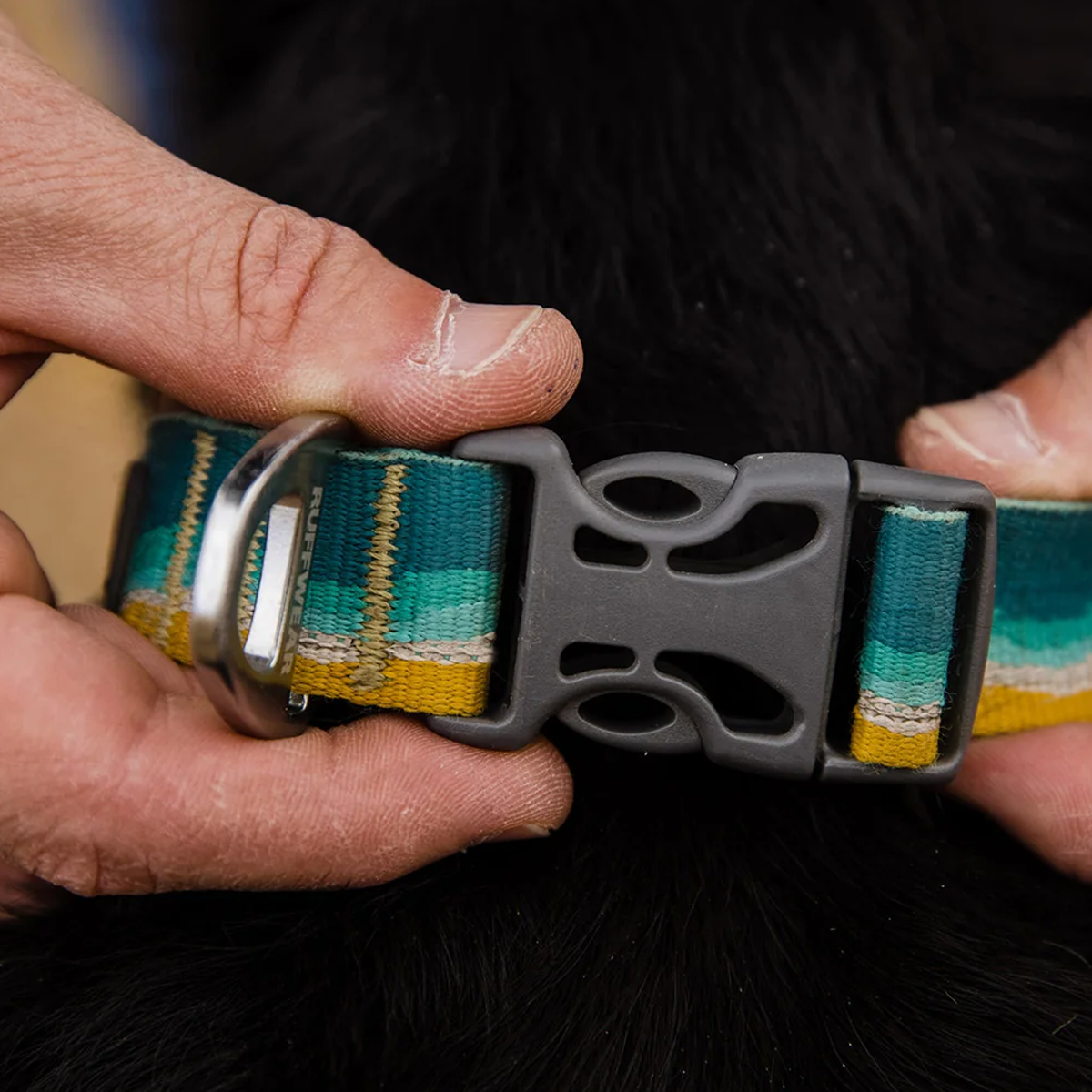 Crag Reflective Dog Collar alternate view