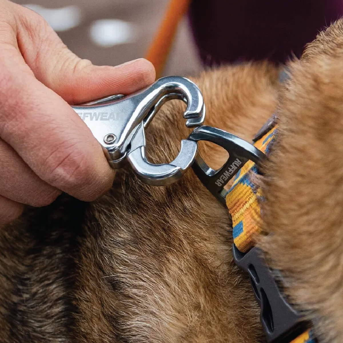 Roamer Bungee Leash alternate view