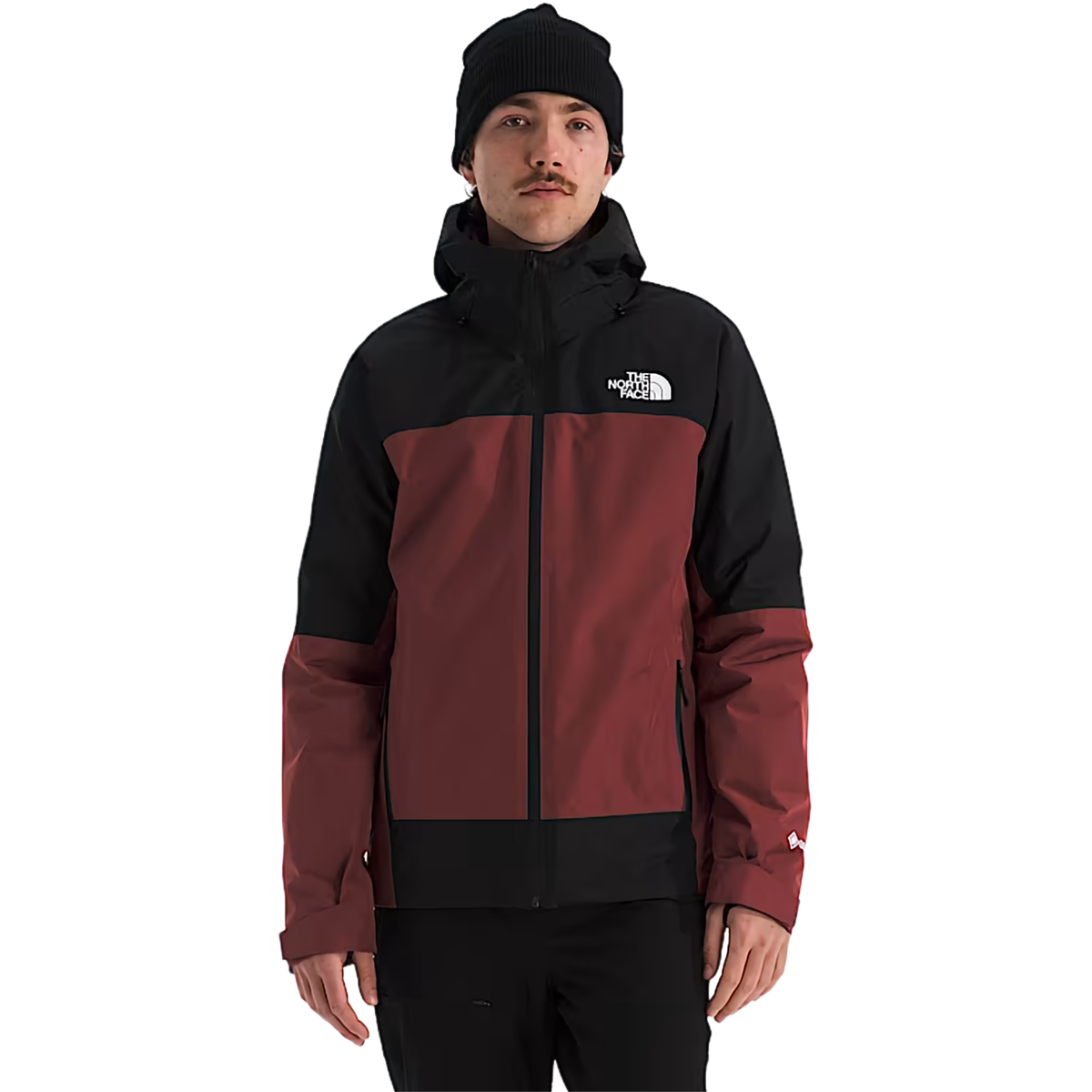 Men's Mountain Light Triclimate Gore-Tex Jacket alternate view