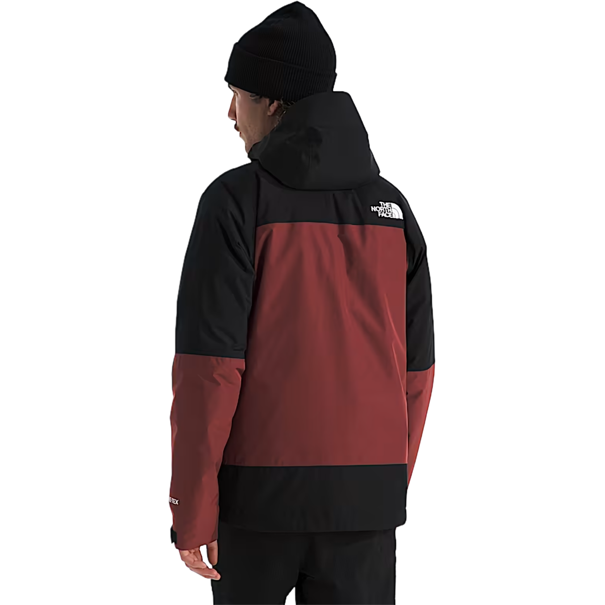 Men's Mountain Light Triclimate Gore-Tex Jacket alternate view