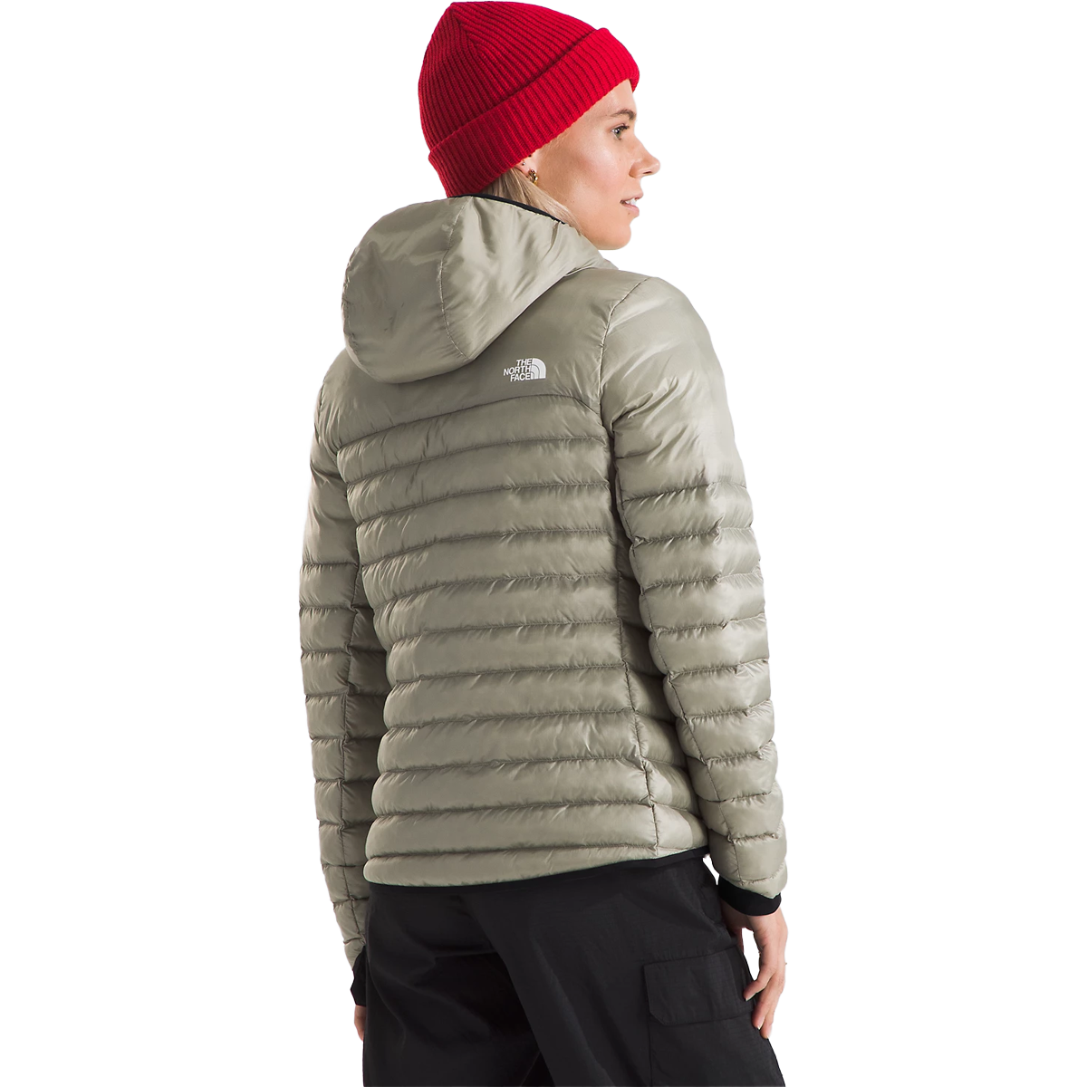 Women's Terra Peak Hoody alternate view
