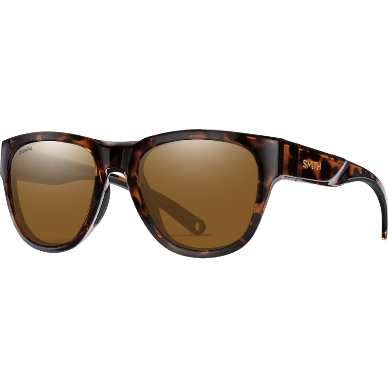 Rockaway Polarized, Featured Image