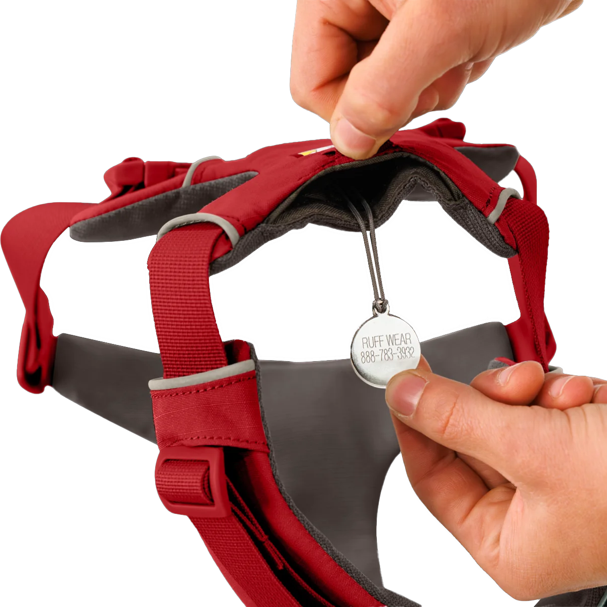 Front Range Harness alternate view