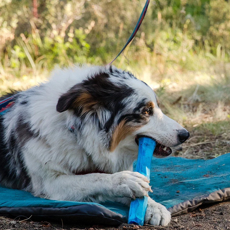 Gnawt-a-Stick Toy, Ruffwear Gnawt-a-Stick Toy with Dog