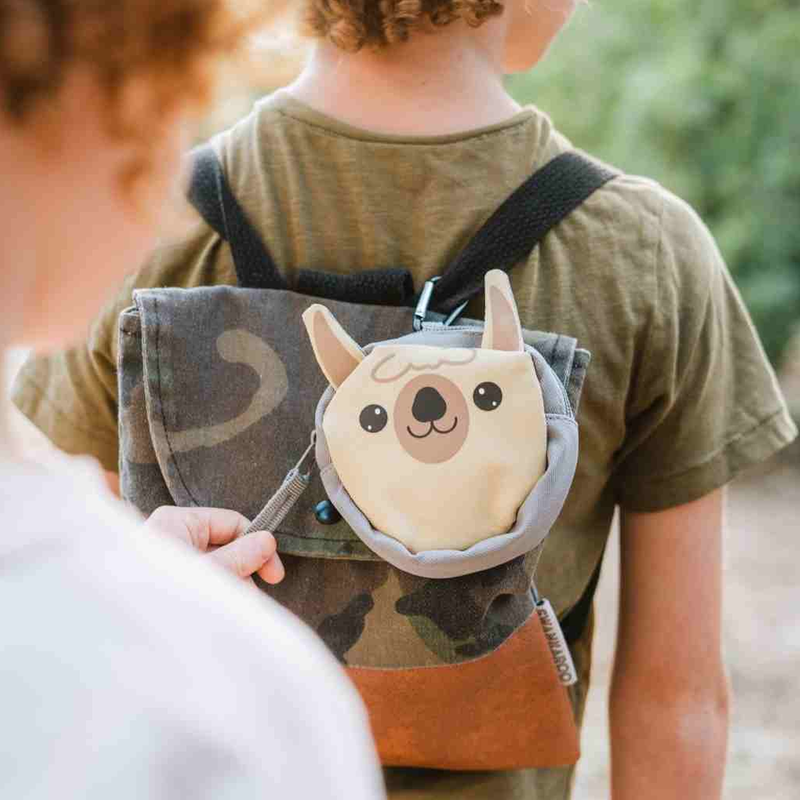 Backyard Adventure Llama, Adventure Medical Backyard Adventure Llama on backpack